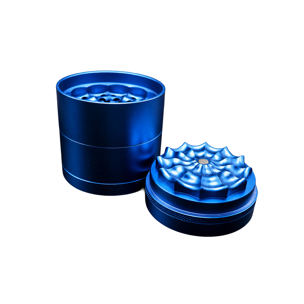 Blue Toothless Grinder