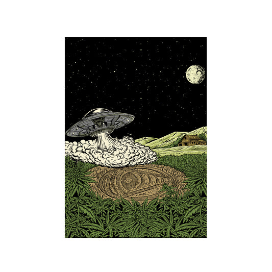 Crop Circles A3 art print