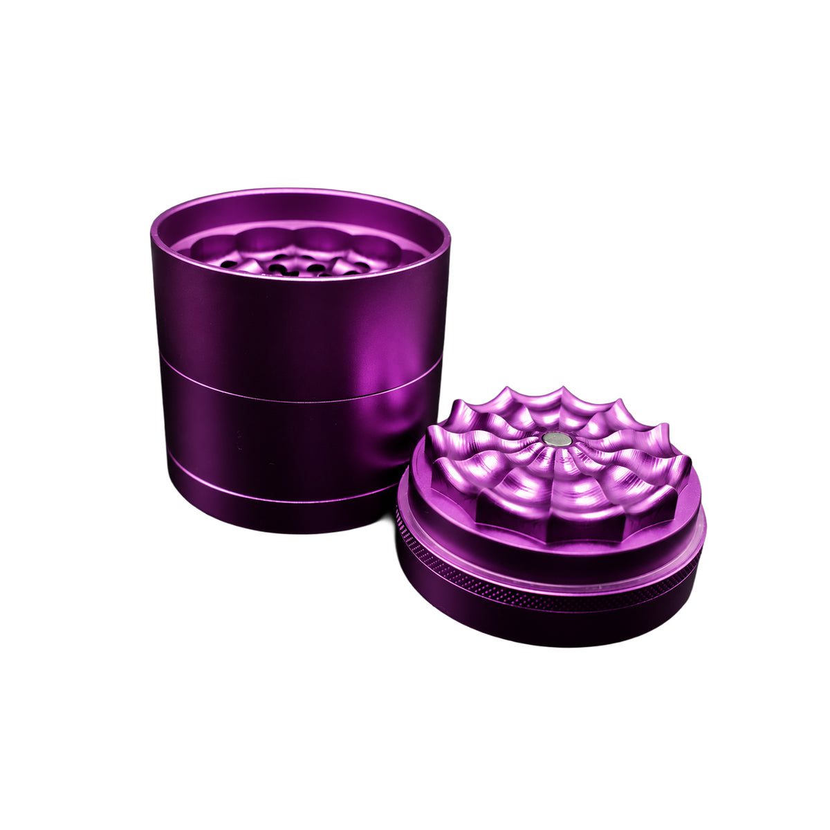 Purple Toothless Grinder